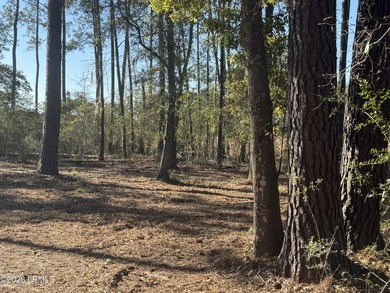 This beautiful parcel is one of the last water/marsh views in - photo 2