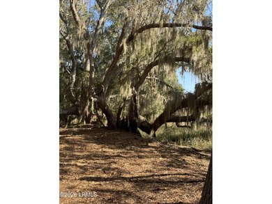 This beautiful parcel is one of the last water/marsh views in - photo 4