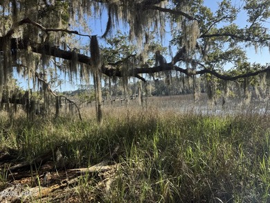 This beautiful parcel is one of the last water/marsh views in - photo 5
