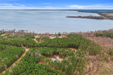 Nestled on over 7 acres just steps from Lake Petenwell, this - Lake Home For Sale in Necedah, Wisconsin