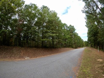 Lake Rhodhiss Lot For Sale in Connelly Springs North Carolina