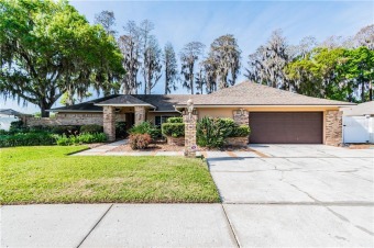 Lake Ellen Home For Sale in Tampa Florida