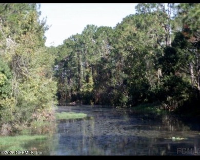 Build your dream home on this oversized residential lot located - photo 8