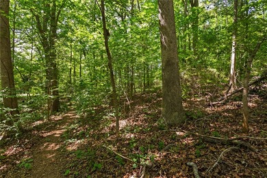 Build Your Lake Escape in Cherokee Bay! Own a beautiful, wooded - photo 4
