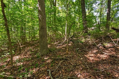Build Your Lake Escape in Cherokee Bay! Own a beautiful, wooded - photo 5