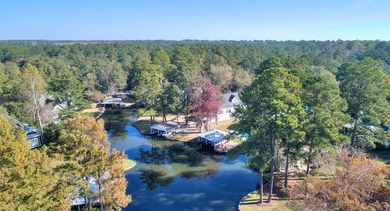 This charming lakefront cottage has new HVAC units and was built - photo 29