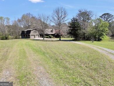Welcome to an extraordinary private estate in Lamar County - photo 6