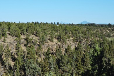 This +/- 118 acre property located less than 20 minutes north of - photo 11
