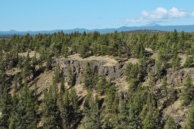 This +/- 118 acre property located less than 20 minutes north of - photo 12
