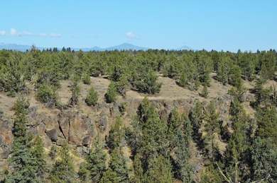This +/- 118 acre property located less than 20 minutes north of - photo 13