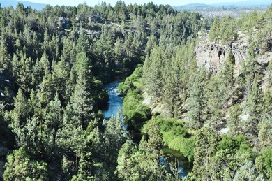 This +/- 118 acre property located less than 20 minutes north of - photo 14