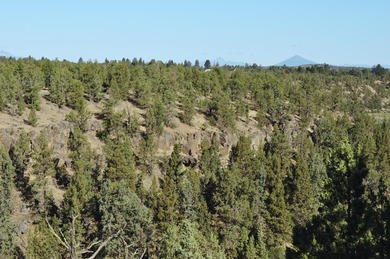 This +/- 118 acre property located less than 20 minutes north of - photo 15