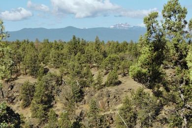 This +/- 118 acre property located less than 20 minutes north of - photo 16