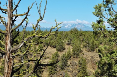 This +/- 118 acre property located less than 20 minutes north of - photo 17