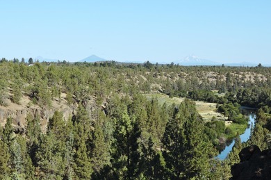 This +/- 118 acre property located less than 20 minutes north of - photo 18