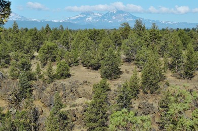 This +/- 118 acre property located less than 20 minutes north of - photo 20