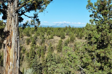 This +/- 118 acre property located less than 20 minutes north of - photo 21