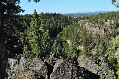 This +/- 118 acre property located less than 20 minutes north of - photo 22