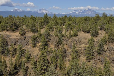This +/- 118 acre property located less than 20 minutes north of - photo 23