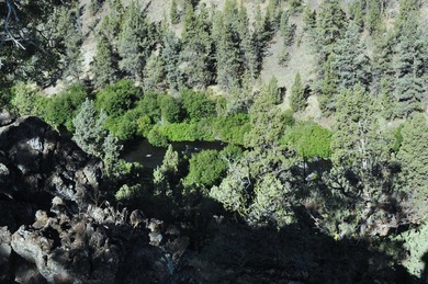 This +/- 118 acre property located less than 20 minutes north of - photo 24