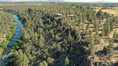 This +/- 118 acre property located less than 20 minutes north of - photo 25