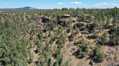 This +/- 118 acre property located less than 20 minutes north of - photo 29