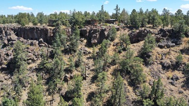This +/- 118 acre property located less than 20 minutes north of - photo 31