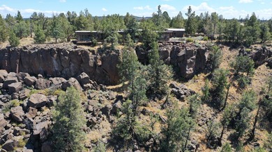This +/- 118 acre property located less than 20 minutes north of - photo 34