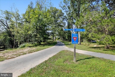 Enjoy breathtaking views of Wilde Lake from this beautiful - photo 50