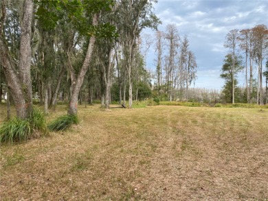 Lake Patient  Lot Sale Pending in Land O Lakes Florida