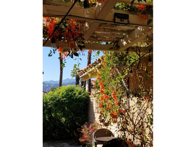 Enjoy your morning coffee on the sunny east facing patio of this - photo 31