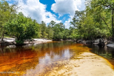 Lake Lot For Sale in Macclenny, Florida