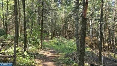 If you are seeking privacy, this unique opportunity is for you - photo 40