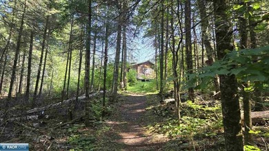 If you are seeking privacy, this unique opportunity is for you - photo 41