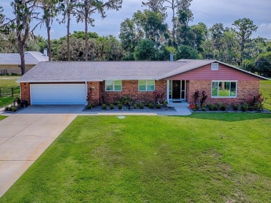 Lake Home For Sale in Eustis, Florida