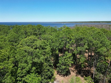 Introducing an exceptional opportunity to purchase Lot #9 - photo 6
