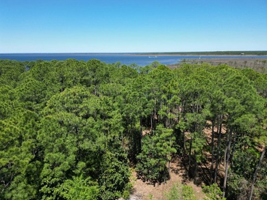 Lot #8 nestled along Churchill Bayou Road: Lot #8 will be - photo 6