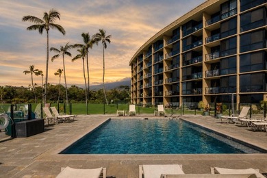Kihei Surfside Unit 209 is OCEANFRONT ON THE ISLAND OF MAUI - photo 20