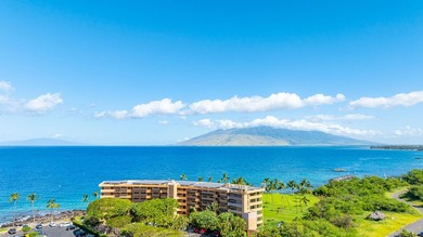 Kihei Surfside Unit 209 is OCEANFRONT ON THE ISLAND OF MAUI - photo 27