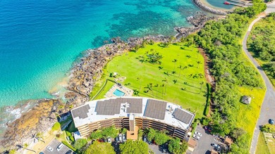 Kihei Surfside Unit 209 is OCEANFRONT ON THE ISLAND OF MAUI - photo 28