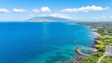 Kihei Surfside Unit 209 is OCEANFRONT ON THE ISLAND OF MAUI - photo 29