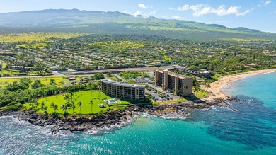 Kihei Surfside Unit 209 is OCEANFRONT ON THE ISLAND OF MAUI - photo 31