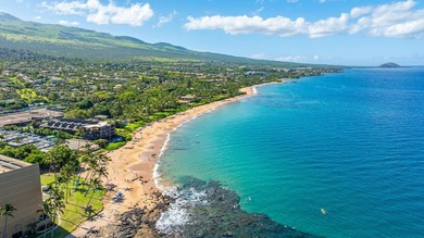 Kihei Surfside Unit 209 is OCEANFRONT ON THE ISLAND OF MAUI - photo 32