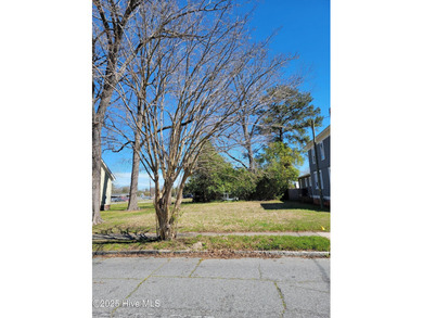 RARE BUILDING LOT LOCATED 2 BLOCKS FROM THE RIVER IN - photo 3