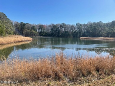 (private lake, pond, coastal) Home For Sale in Tarboro North Carolina