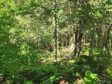 3.6-acre lot with over 800 feet of frontage on Wildwood Lake! A - photo 11