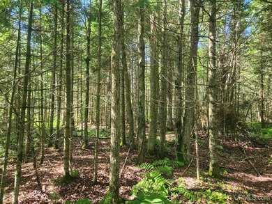 3.6-acre lot with over 800 feet of frontage on Wildwood Lake! A - photo 14