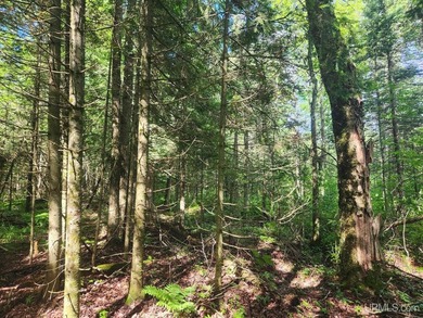 3.6-acre lot with over 800 feet of frontage on Wildwood Lake! A - photo 15