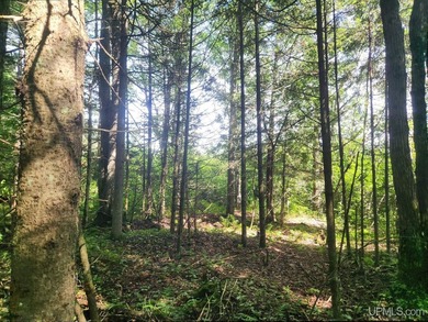 3.6-acre lot with over 800 feet of frontage on Wildwood Lake! A - photo 16