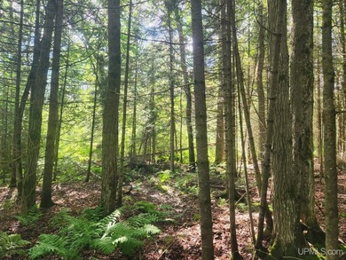 3.6-acre lot with over 800 feet of frontage on Wildwood Lake! A - photo 18